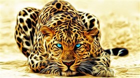 Leopard 4K