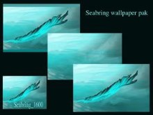 Seabring wp pak