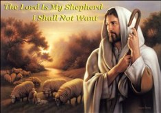 Jesus Shepherd