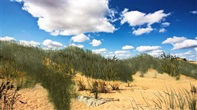 Dunes LV