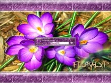 FloralXP
