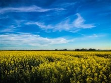 Spring in Sweden