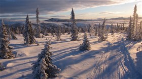 Snow on Iditarod National Trail