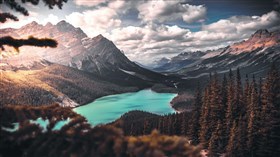 Lake Surrounded by Trees