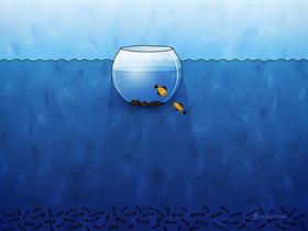 Aquarium