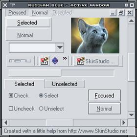 russian blue