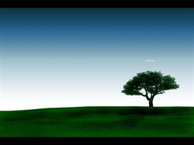 solitude
