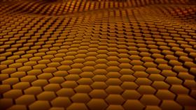 The Hexican Wave - Gold