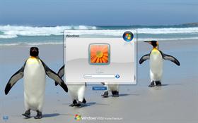 Splash Silver LogonVista