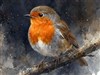 robin perched