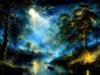Nocturn forest