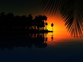 From a Distance