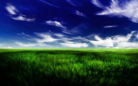 Calm Fields 2
