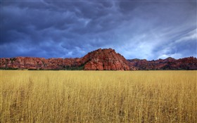 Kolob