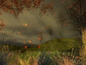 Autumn Winds
