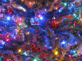 My Vegas christmas tree.