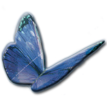 Adobe ObjectDock Icon InDesign