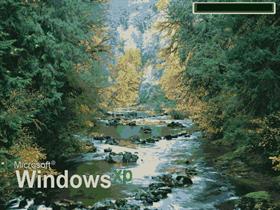 Rocky Mountain Stream
