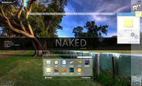 Naked Sidebar