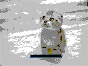 Paint Cat