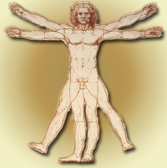 Vitruvian