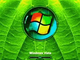 Vista Symmetric Leafs 12