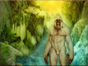 YETI_wallpak
