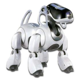 finder robot