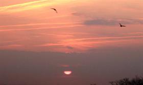 Daybreak