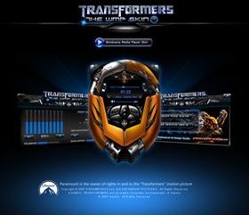 Transformers skin