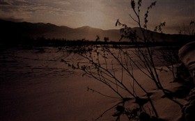 dunes in winter