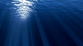 Under The Sea - Wide Screen