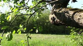 In the spring