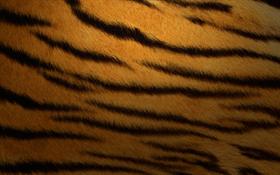 Tiger Stripes