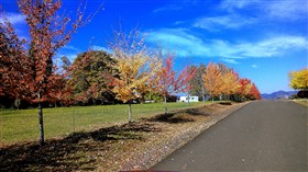 Indian Summer