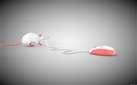 Mouse Vs Mouse