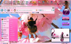 Pink Vista"Custom95"