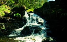 Scenic Waterfall
