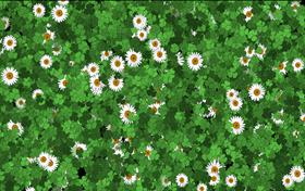 Animated Spring Desktop