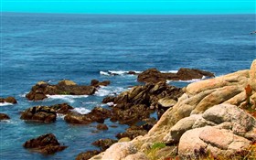 Rocky Coast
