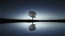 Reflections 