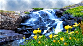 Humming_Bird_Creek
