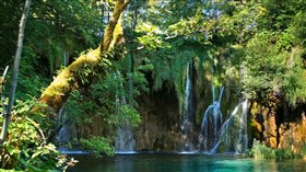 Hidden_Forest_Waterfalls_4K