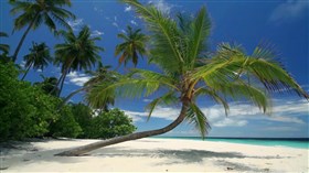 Serene_Island_Beach