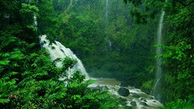 Green_Jungle_Triple_Waterfalls