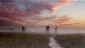 Windmill_Field