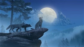 Wolf Moon