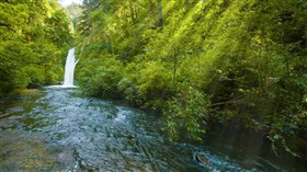 Green Forest WaterFalls