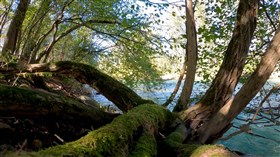 Aqua River View