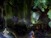 Haunted Witch Forest